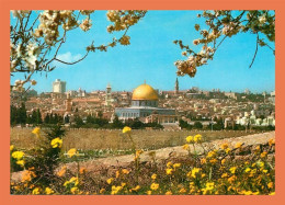 A625 / 277 Israel JERUSALEM Old City - Other & Unclassified