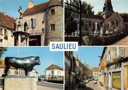 21-SAULIEU-N°3372-C/0175 - Saulieu