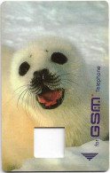 Unknown Country - GSM Extension Card, White Seal (No Chip) - Origine Inconnue