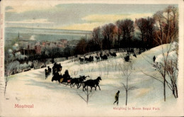 CPA Montreal Québec Kanada, Sleighing In Mount Royal Parc - Autres & Non Classés