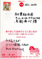 81035 - Japan - 2002 - ¥50 Neujahr '02 EF A OrtsKte SAPPOROMINAMI - Lettres & Documents