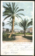 CPA Nice, Les Nouveaux Jardins Et Casino  - Parks, Gärten