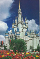 USAFL 02 01#1 - ORLANDO - WALT DISNEY WORLD - CINDERELLA CASTLE - Orlando