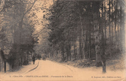 21-CHATILLON SUR SEINE-N°LP5001-B/0103 - Chatillon Sur Seine