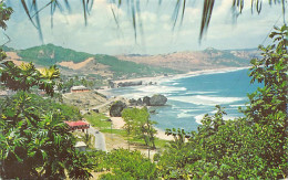 Barbados - Bathsheba Coast - Publ. C. L. Pitt & Co.  - Barbades