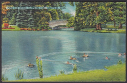 B245 Bridge Postcard, USA, Elizabeth Park, Hardford, Conn., Carte Postale, Pont - Bruggen