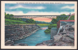 B260 Bridge Postcard, USA, Driving Park Avenue Bridge, Rochester, Carte Postale, Pont - Bruggen