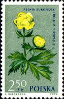 Pologne Poste N** Yv:1195 Mi:1334 Galantus Nivalis - Unused Stamps