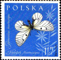 Pologne Poste N** Yv:1146 Mi:1283 Parnassius Mnemosyne - Unused Stamps