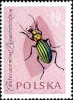 Pologne Poste N** Yv:1144 Mi:1281 Carabus Auronitens - Neufs