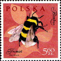 Pologne Poste N** Yv:1151 Mi:1288 Bombus Hortorum (Petit Def.gomme) - Neufs