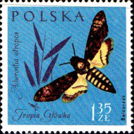 Pologne Poste N** Yv:1147 Mi:1284 Acherontia Atropos - Ongebruikt