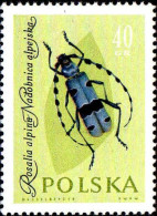 Pologne Poste N** Yv:1142 Mi:1279 Rosalia Alpina - Unused Stamps