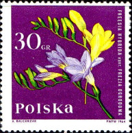 Pologne Poste N* Yv:1395 Mi:1542 Freesia (défaut Gomme) - Ungebraucht