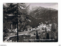 MADONNA  DI  CAMPIGLIO:  PANORAMA  -  FOTO  -  FG - Trento