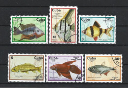 Cuba 1977 Fish  Y.T. 1993/1998 (0) - Usati