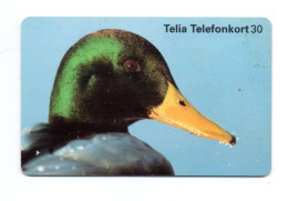 Oiseau Vogel  Télécarte Suède Phonecard  Télia Telefonkort 30 ( A 329) - Schweden