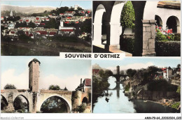 AMNP9-0905-64 - Souvenir D'ORTHEZ - Basses-pyrénées - Vue Générale - Cloître - Pont Vieux - Bords Du Gave - Orthez