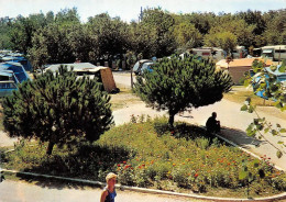 MARSEILLAN PLAGE Vue Partielle Du Camping Municipal Sous Un Ombrage De Pins Et D Oliviers 2(scan Recto-verso) MA1137 - Marseillan