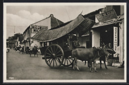 AK Malacca, Street Scene  - Other & Unclassified