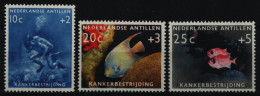 Niederländische Antillen 1960 - Mi-Nr. 110-112 ** - MNH - Fische / Fish - Curazao, Antillas Holandesas, Aruba