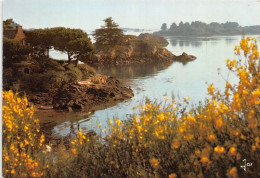 ILE DE BREHAT La Cote Est De L Ile Devant La Chambre Et L Ile Lavrec 23(scan Recto-verso) MA1317 - Ile De Bréhat