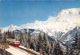 SAINT GERVAIS Le TMB Pres Du Col De Voza Panorama Sur La Chaine Du Mont Blanc 20(scan Recto-verso) MA1398 - Saint-Gervais-les-Bains