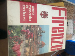 STUPENDO LIBRO GUIDA FIRENZE ANNI 80 - Andere & Zonder Classificatie