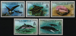 Turks- & Caicos 1979 - Mi-Nr. 425-429 ** - MNH - Fauna - Turks And Caicos