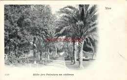 CPA NICE - ALLEE DE PALMIERS AU CHATEAU - Parks, Gärten