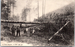 89 CHABLIS -abattage Des Arbres En Foret  - Chablis