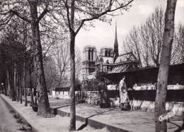 75 - PARIS 01 - Les Bouquinistes Sur Les Quais - District 01