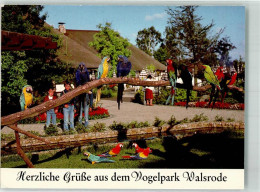 39818191 - Walsrode - Walsrode