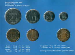 NIEDERLANDE NETHERLANDS 1989 MINT SET 6 Münze + MEDAL #SET1107.7.D.A - Nieuwe Sets & Testkits