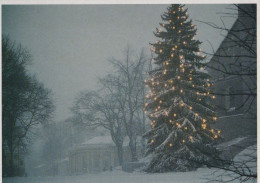 Feliz Año Navidad Vintage Tarjeta Postal CPSM #PAV248.A - New Year