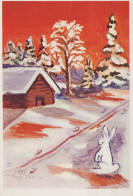 Happy New Year Christmas RABBIT Vintage Postcard CPSM #PAV047.A - New Year