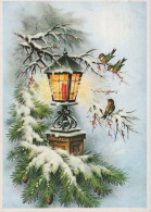 Buon Anno Natale UCCELLO Vintage Cartolina CPSM #PBM811.A - Neujahr