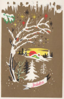 Feliz Año Navidad Vintage Tarjeta Postal CPSMPF #PKG195.A - New Year