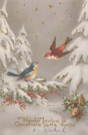 Buon Anno Natale UCCELLO Vintage Cartolina CPA #PKE828.A - New Year