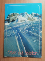 CARTOLINA ITALIA 1985 TRENTO PINZOLO DOSS DEL SABION Italy Postcard ITALIEN Ansichtskarten - Trento