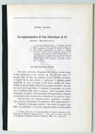 P. Massia - La Toponomastica Di San Sebastiano Al Po (Basso Monferrato) - 1917 - Sonstige & Ohne Zuordnung
