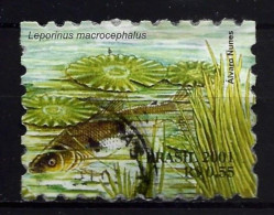 Brasil 2001 Fish Y.T. 2738 (0) - Used Stamps