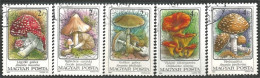 494 Hongrie Champignon Mushroom Pilz Paddestoel Fungo (HON-174a) - Usati