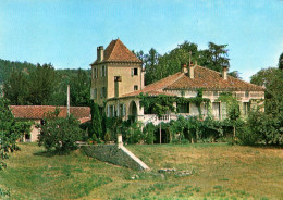 RECTO/VERSO - CPA - CAHORS - CHATEAU DU CAYROU - Cahors