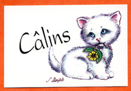 Mini Carte Image CALINS Chat Chaton Avec Une Fleur - Andere & Zonder Classificatie