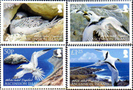 237954 MNH ASCENSION 2009 AVES - Ascension