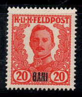 Autriche 1918 Mi. VI Neuf ** 100% Poteau De Campagne, 20 B Surimprimé - Unused Stamps