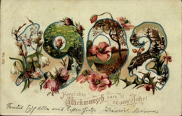 Lithographie Glückwunsch Neujahr, Jahreszahl 1902, Mohnblumen, Schneeglöckchen - New Year