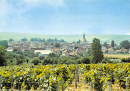 89-CHABLIS-N°3384-D/0301 - Chablis