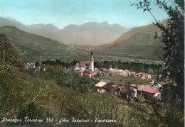 RONCEGNO TERME - ALPI TRENTINE - PANORAMA - F.G. - Trento